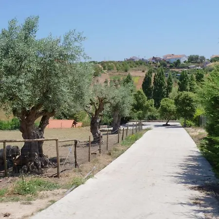 Σαλέ Casa Alfazema, Quinta Carmo - - Nazare Alcobaça