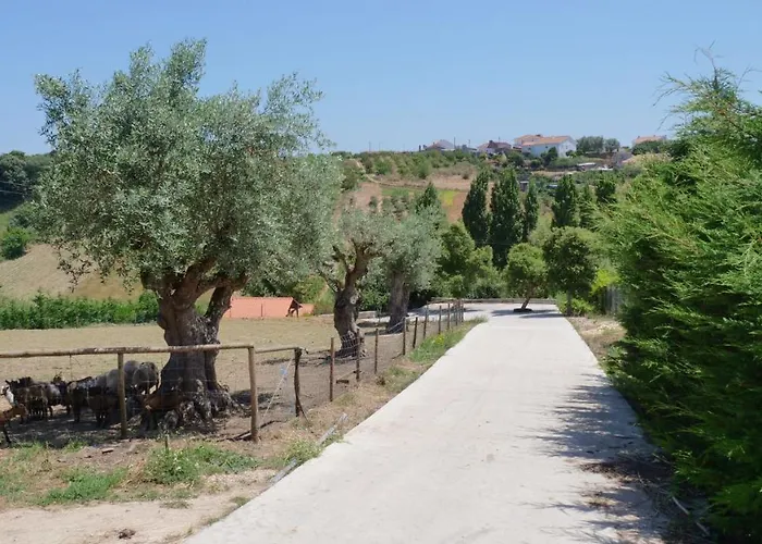 Chalet Casa Alfazema, Quinta Carmo - - Nazare Alcobaça